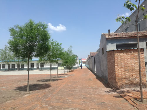 德州健之源專(zhuān)業(yè)承接袋泡茶oem加工,袋泡茶加工,袋泡茶代加工袋泡茶oem加工,袋泡茶加工,袋泡茶代加工...等等為您提供一站式全方位的服務(wù)，從原料、配方、包裝等一切由雙方協(xié)商解決?，F(xiàn)面向全國(guó)承接各類(lèi)袋泡茶保健茶批發(fā)制作來(lái)料加工、包工包料。